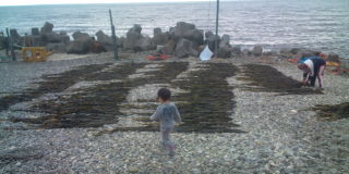 20100717174343.jpg