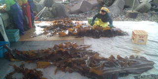 20100716051305.jpg