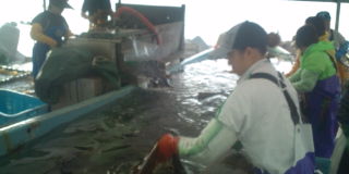20100716051218.jpg