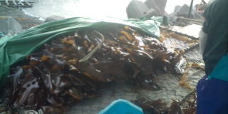 20100716051117.jpg