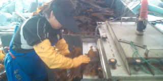 20100716051030.jpg