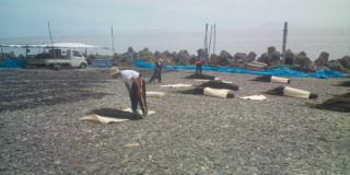 20100803113712.jpg