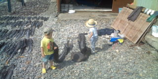 20100803085148.jpg