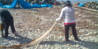 20100803074911.jpg