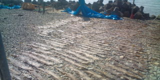 20100803074853.jpg