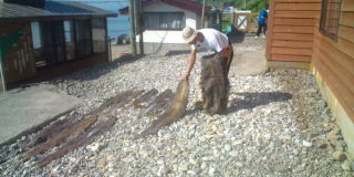 20100803074830.jpg