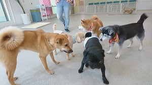 IMG_20180803_100213.jpg