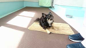 MOV_2480_000013.jpg