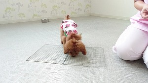 MOV_2484_000040.jpg