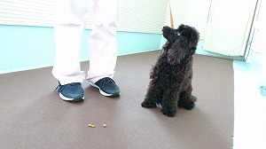 MOV_2486_000012.jpg