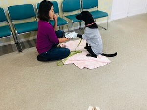 IMG_3963.jpg