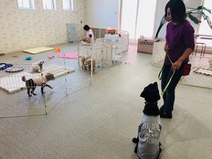 IMG_3984.jpg