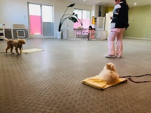 IMG_5578.jpg