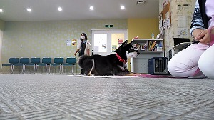 Screenshot_20181115-150552.jpg