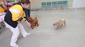IMG_8793.jpg