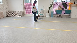 MOV_3848_000001.jpg