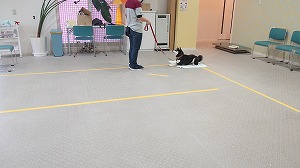 MOV_3848_000019.jpg