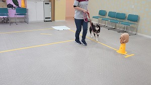 MOV_3848_000028.jpg