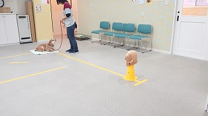 MOV_3849_000038.jpg