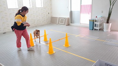 MOV_4373_000003.jpg