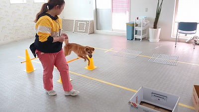 MOV_4373_000004.jpg