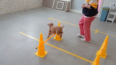MOV_4378_000021.jpg