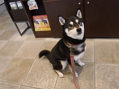 DSCF8271.jpg