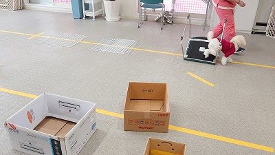 MOV_4375_000025.jpg