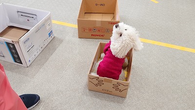 MOV_4375_000050.jpg