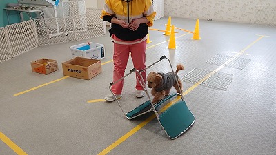 MOV_4377_000008.jpg