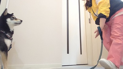 MOV_4398_000049.jpg