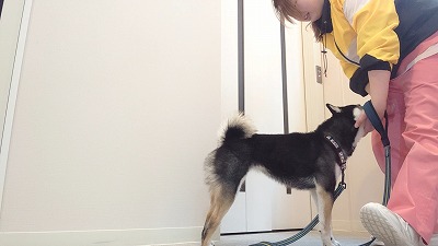 MOV_4398_000051.jpg