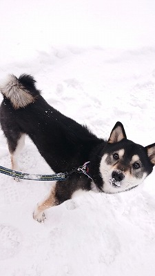 MOV_4403_000000.jpg