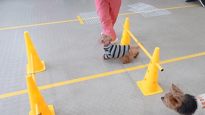 MOV_4396_000055.jpg
