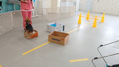 MOV_4379_000018.jpg