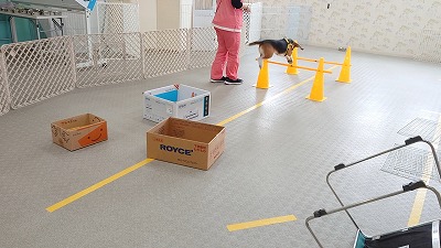 MOV_4379_000023.jpg