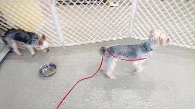 20190314_103347081.jpg