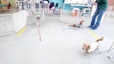 20190314_103351408.jpg