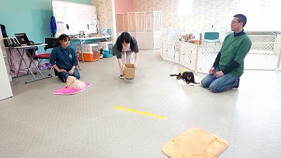 20190314_115251446.jpg