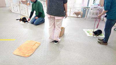 20190314_115304167.jpg
