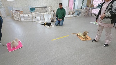 IMG_20190314_115030.jpg