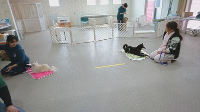 IMG_20190314_120916.jpg