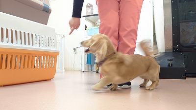 MOV_5729_000031.jpg