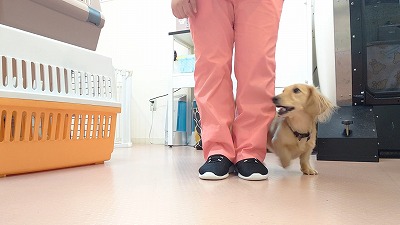 MOV_5729_000131.jpg