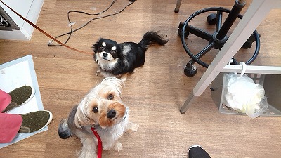 20190328_141832872.jpg