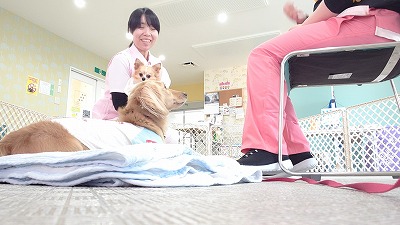 MOV_5755_000018.jpg