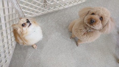 IMG_20190328_105344.jpg