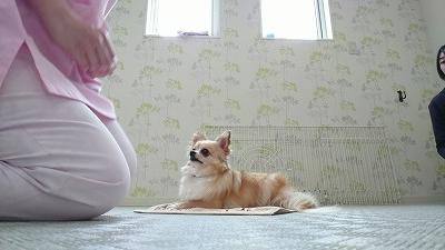VIDEO_20190328_151043_000039.jpg