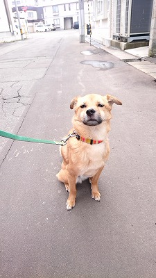 20190329_103707035.jpg