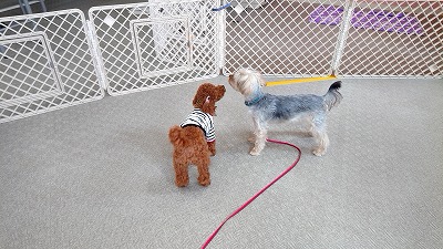 20190329_112012462.jpg